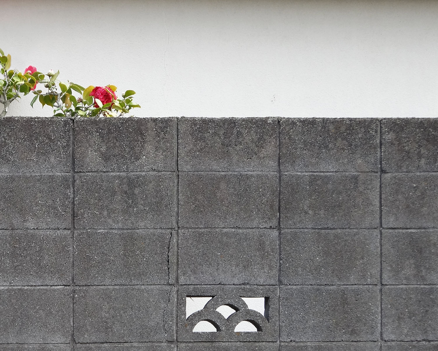 どこの路地にもあった、昭和の住宅地のブロック塀。暮らしに馴染んだこの風景が、ひとたび揺れれば凶器になることを、あの地震は教えた。