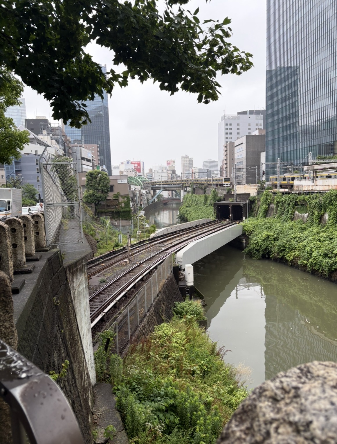 水道橋から御茶ノ水へ。谷の底を走る線路と、蔦に覆われた石垣。雨の日の緑はひときわ濃い。