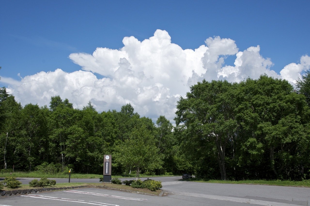 あの夏の空。逃げ場のない暑さが、球児と都市の両方を試していた。（Photo: CC BY 2.0, via Wikimedia Commons）