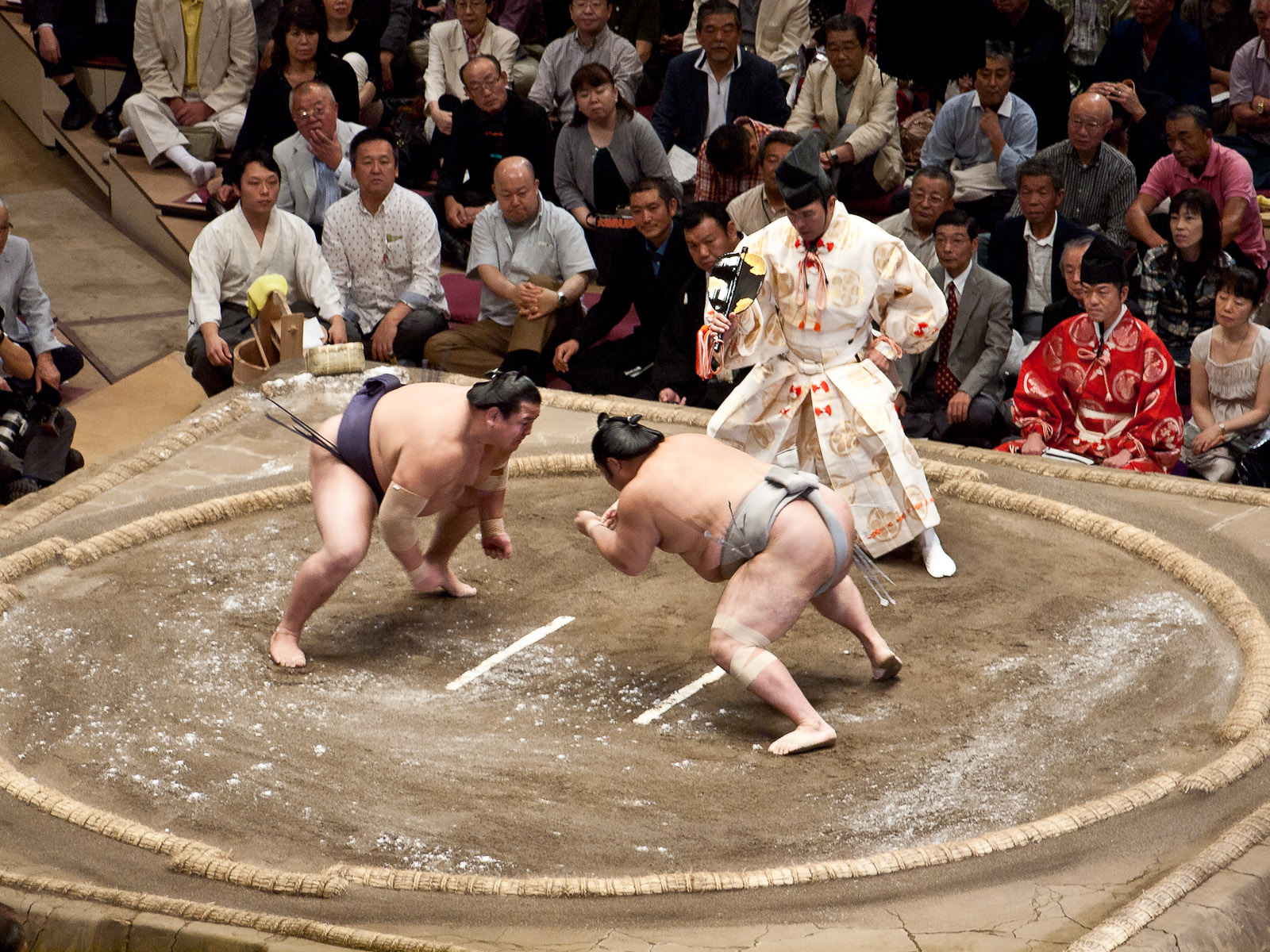 大相撲の立ち合い（両国国技館）