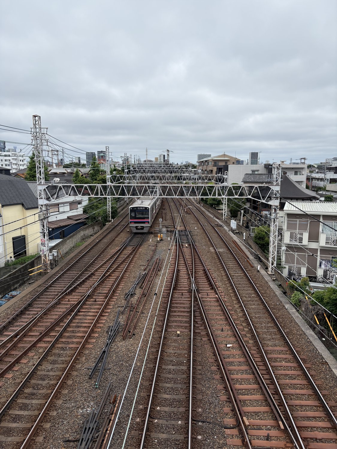 家のそばの歩道橋から。飽きもせず、行き交う電車を眺めていた。子どもにとって、これ以上ない遊び場だった。