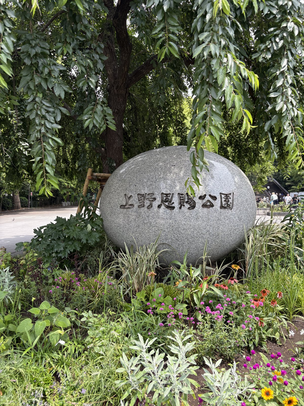 上野恩賜公園。明治の書生たちがボールを追った、この杜のどこかに、子規の青春があった。