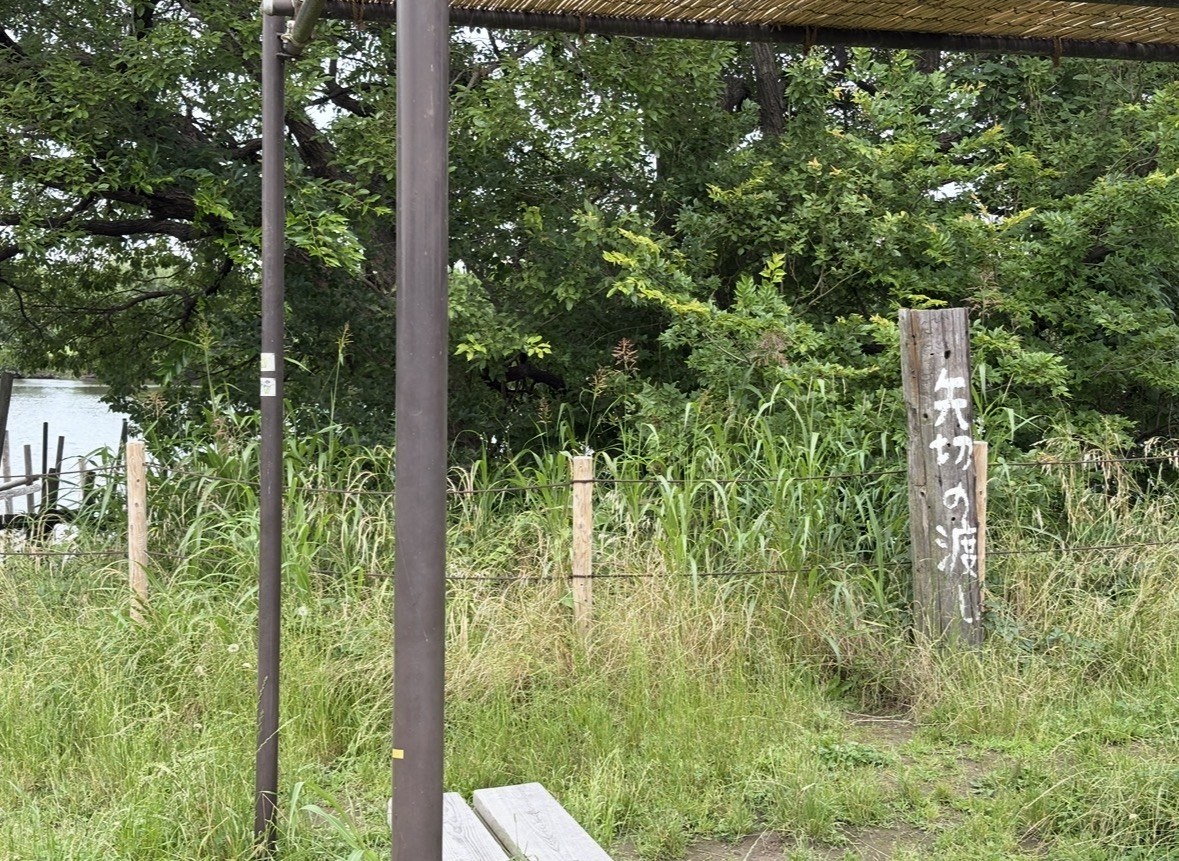 参道を抜けて江戸川の土手に出ると、矢切の渡しがある。ここも、私にとっては散歩の範囲です。
