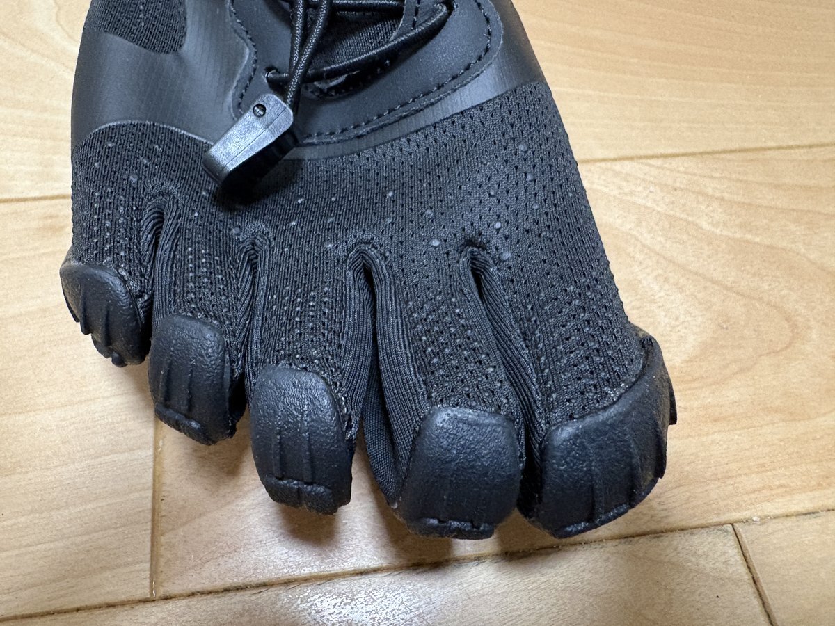 つま先。親指から小指まで、一本ずつ独立している。